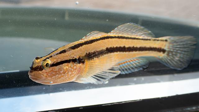 BA68B431-D903-4A9E-AB94-77119DAC80AB_640