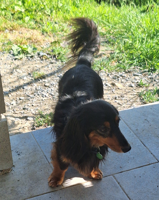 [Image: 20250529-094331.jpg]