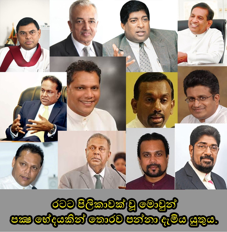 UNP.jpg