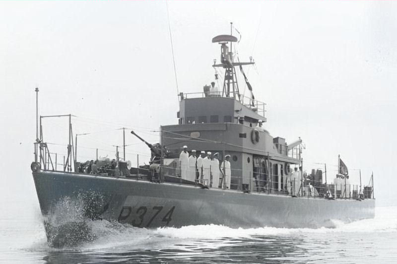NRP-Drag-o-P374-1