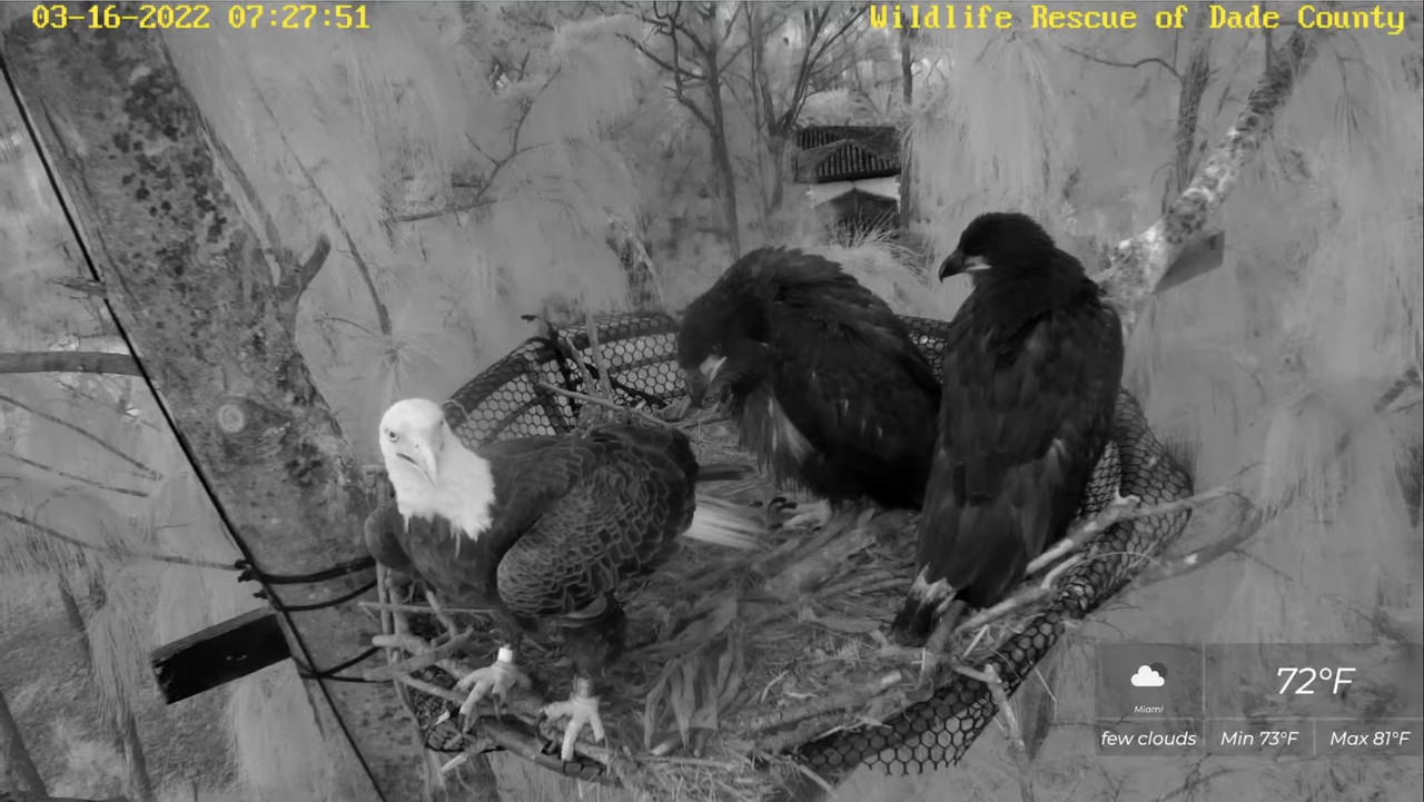 88CFD515-1435-4143-A825-7045687084F0