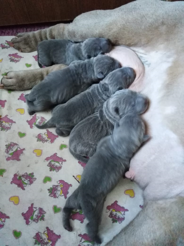 несколько часов