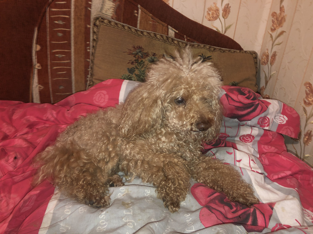 9AD4E3C8-CDB5-4FAD-B2EE-C2162DED2A1F