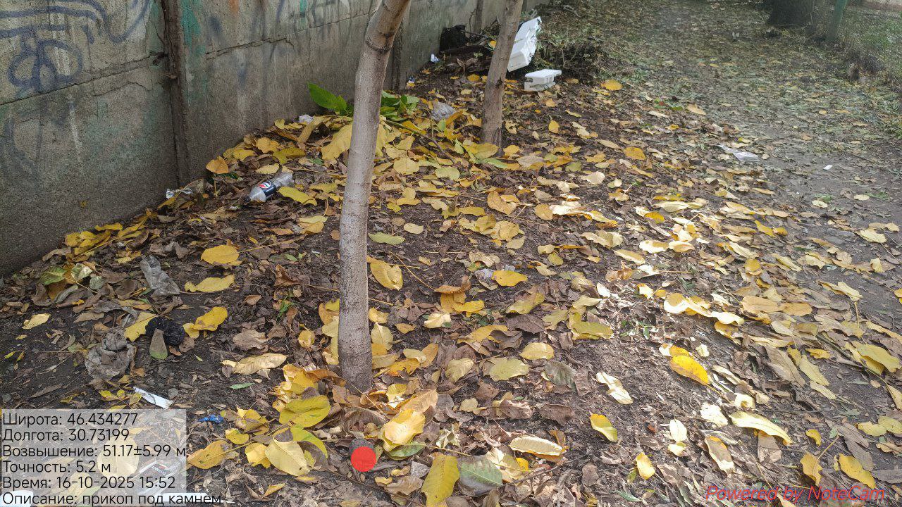 photo_2025-10-16_21-01-13