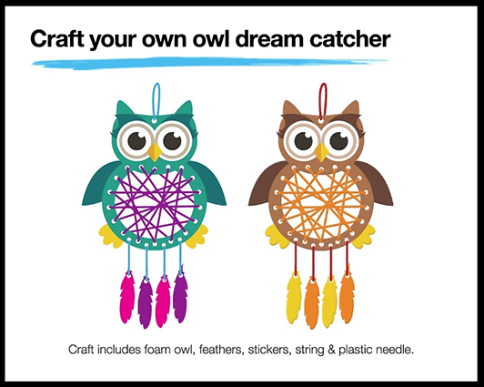 Unleash Creativity with the Free Owl Dream Catcher Craft at JCPenney