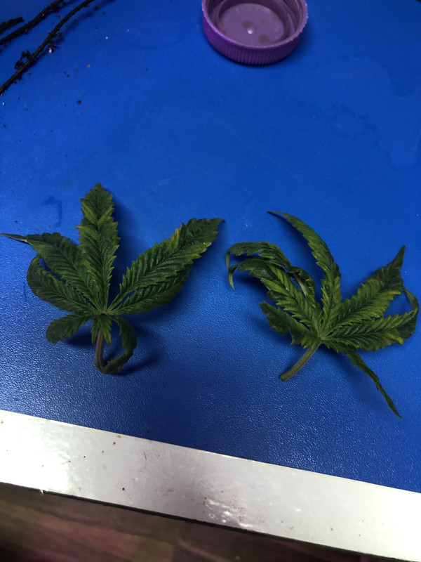 C38D792B-5DC2-457E-AC2F-4D42C6D31A27