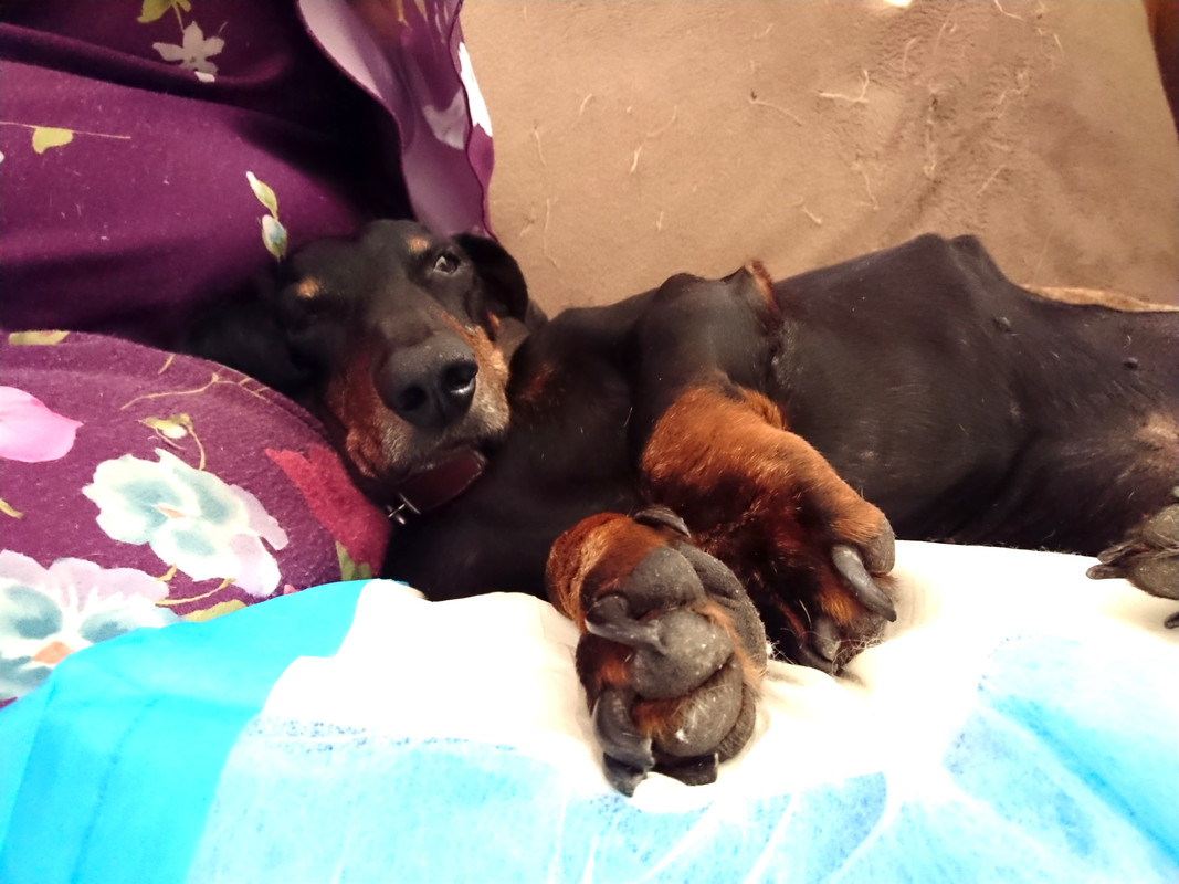 [Image: 20230720-153637.jpg]