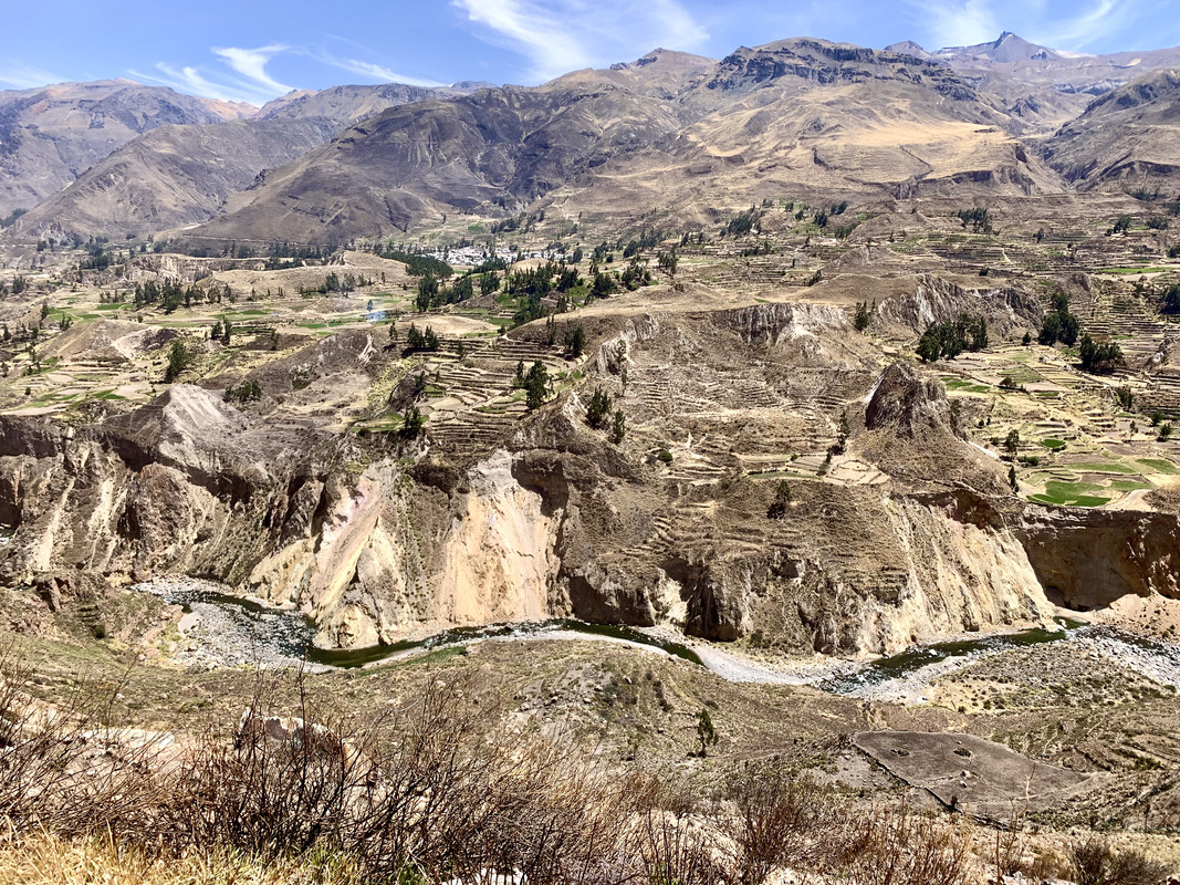 C4686981-32A1-4220-B960-00FCA00FCCFF