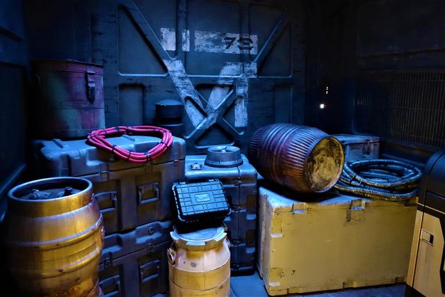 DISNEYLAND ~ STAR WARS: GALAXY'S EDGE, LA GUIA - Blogs de USA - PILOTAMOS EL HALCÓN MILENARIO: Cumpliendo más sueños de infancia (33)