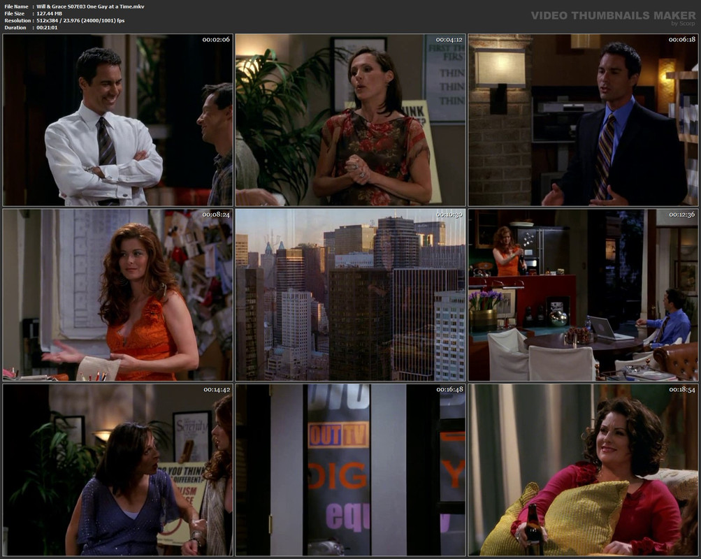 Will & Grace S07E03 One Gay at a Time.mkv