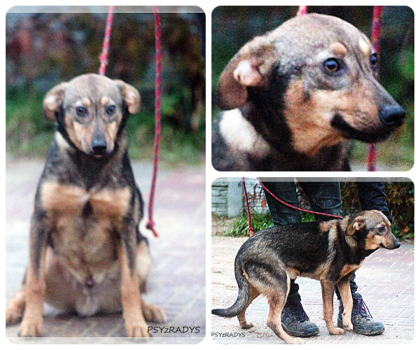 BeFunky-collage (23)