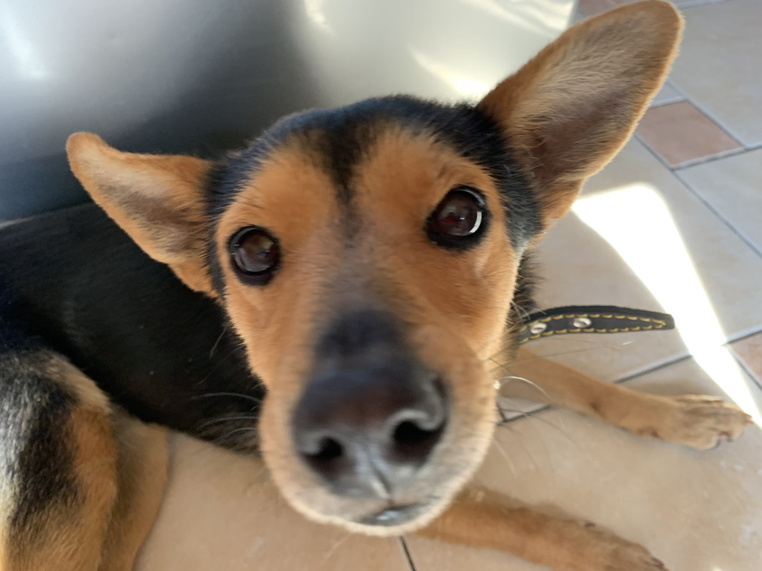 2238879B-6146-4EFF-8920-3D7F5C2F0C21