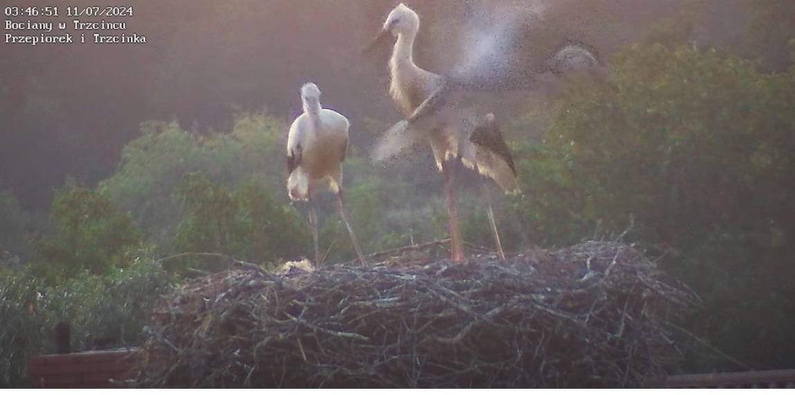 przejsciedoinnegowymiaru