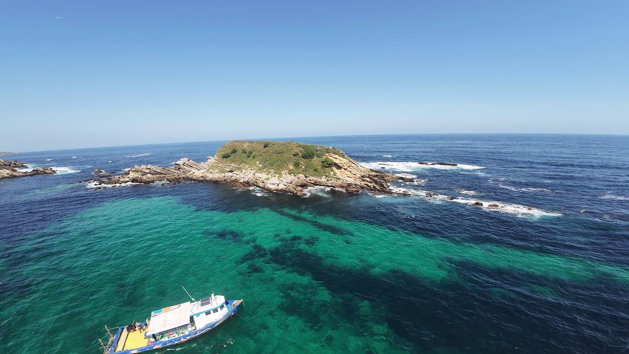 Plongée sous-marine au Pays Basque avec Vivre Océan
