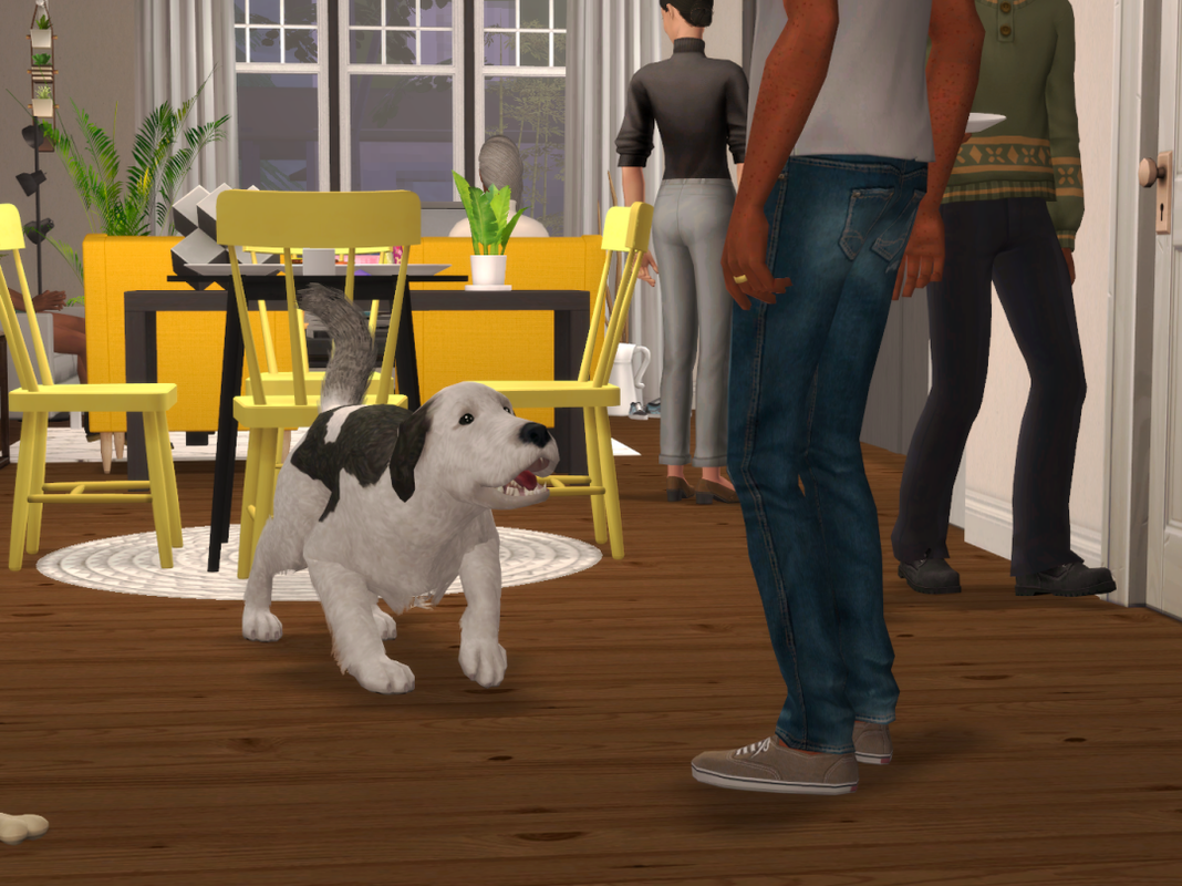Sims2-EP9-RPC-2024-11-24-21-06-07-59