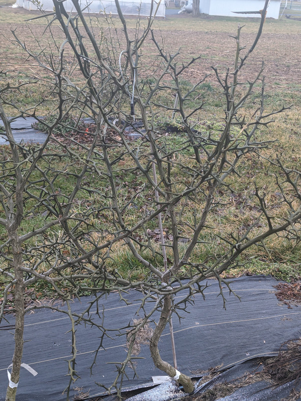 PXL_20240223_132531209