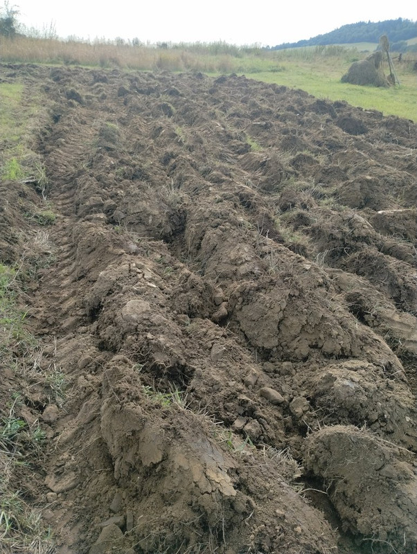 IMG_20250913_094020545