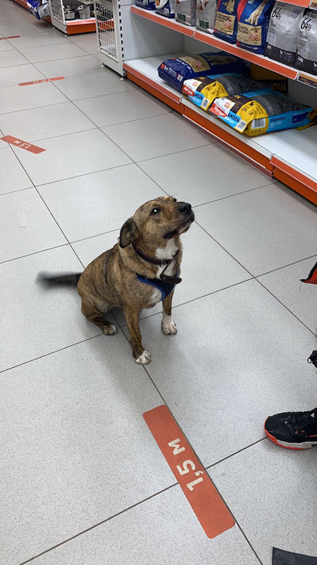 F98C2423-F2D4-44D9-9069-B6155C45CB29