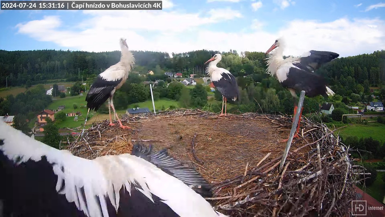 Tiešraidē no uzņēmuma KARA stārķa skursteņa Bohuslavicē pie Trutnovas 11-58-31 screenshot (1)