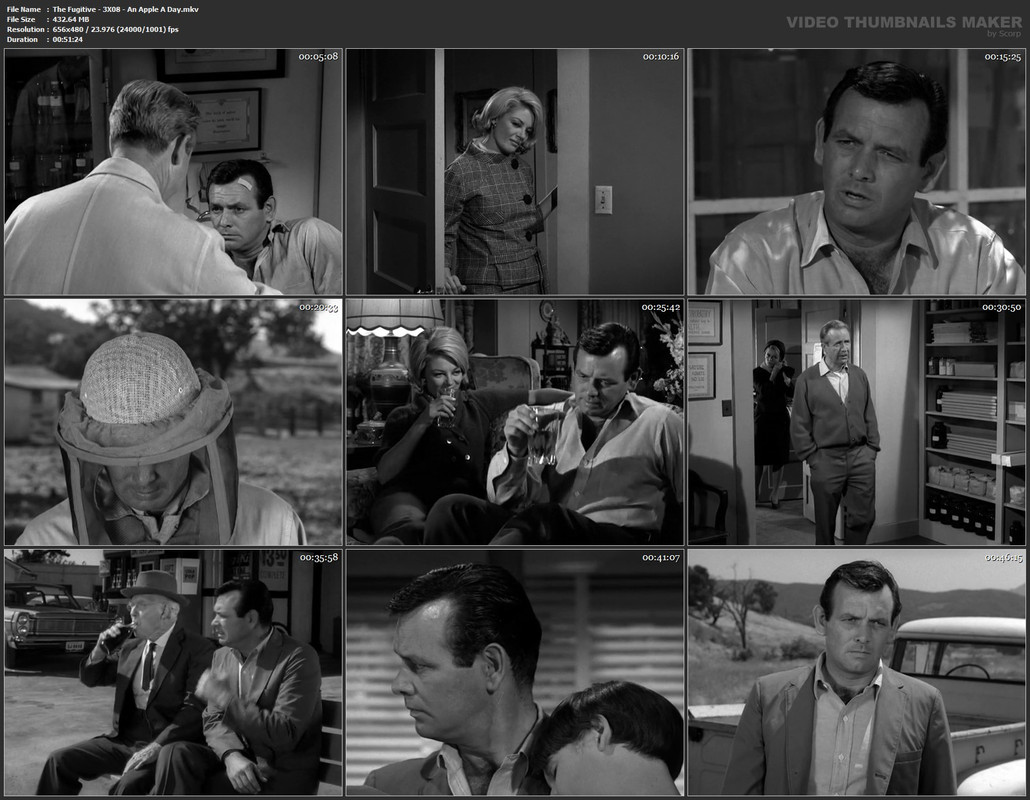 The Fugitive - 3X08 - An Apple A Day.mkv