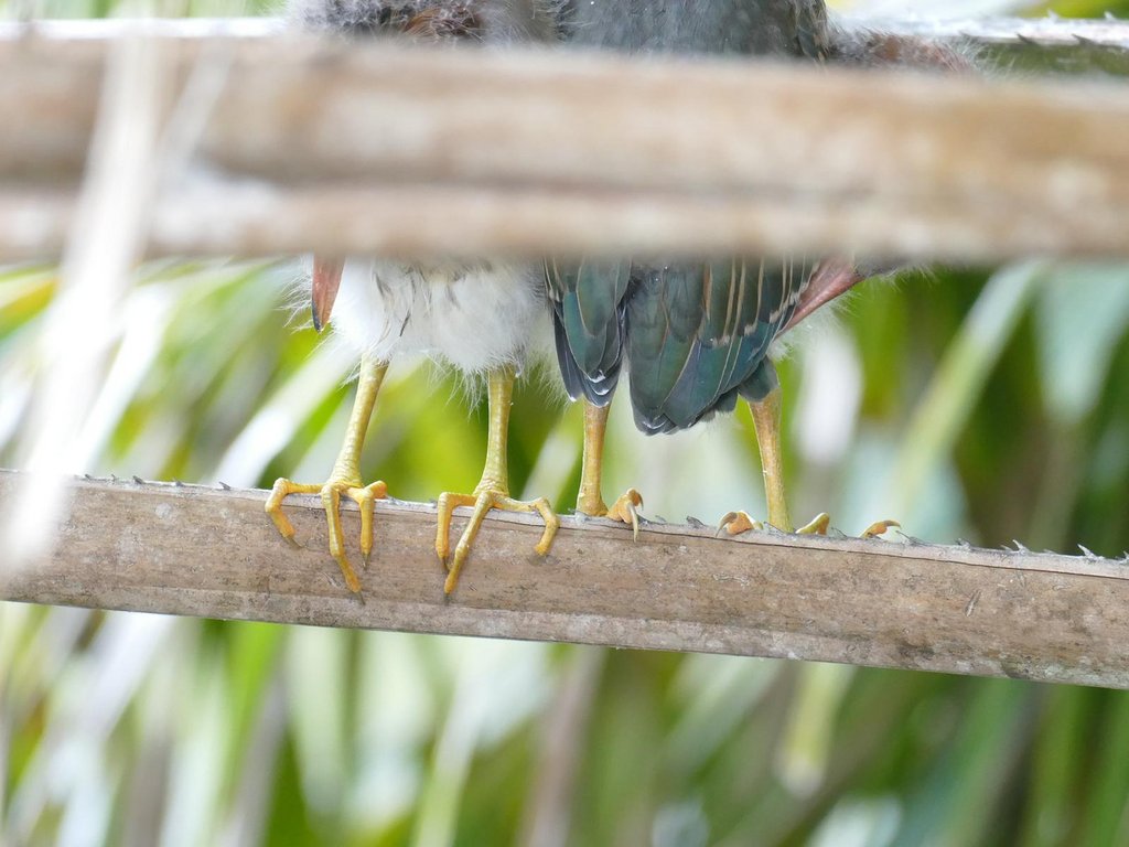 F8FEFC8B-D51A-4155-BD49-6BBE017C861C