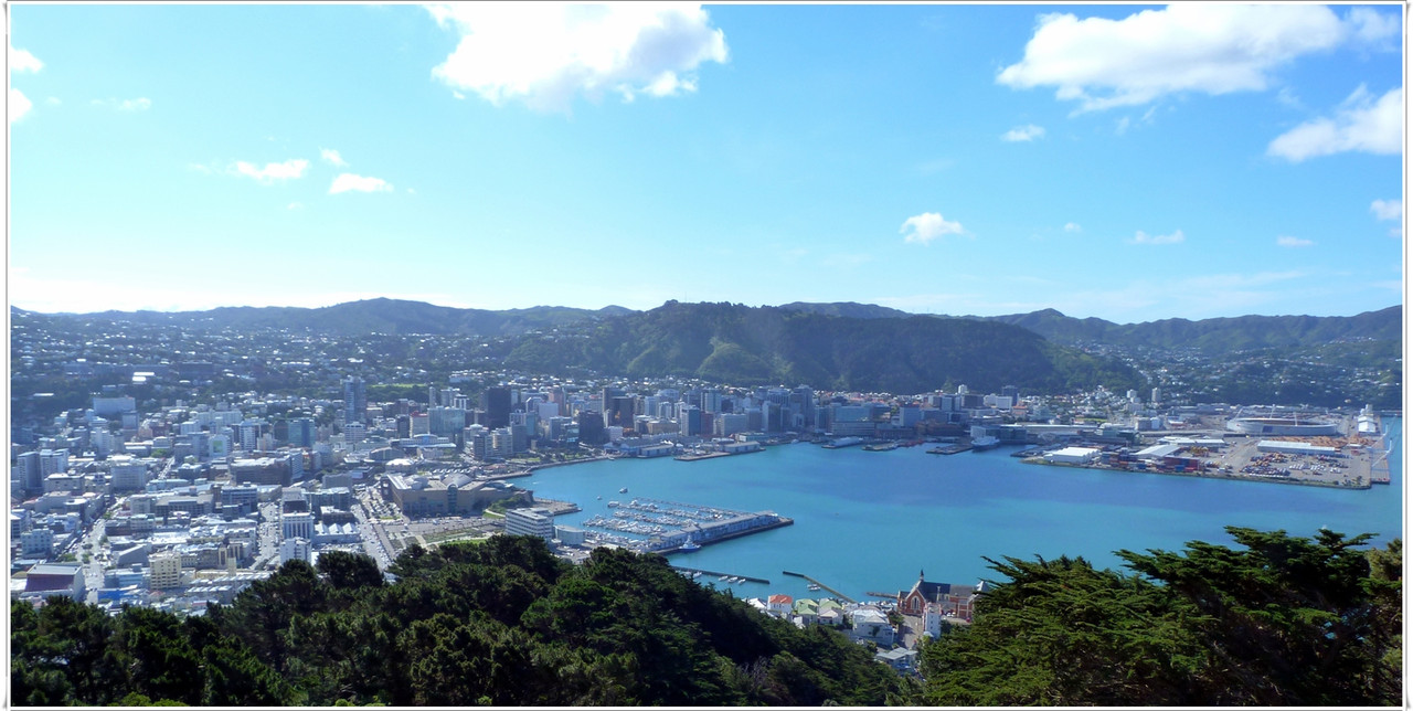 Escapadas y rutas por la Nueva Zelanda menos conocida - Blogs de Nueva Zelanda - Wellington más allá del Te Papa y el Cable Car (5)