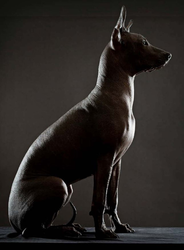 Il M C Lug-Ago 2022 (9)