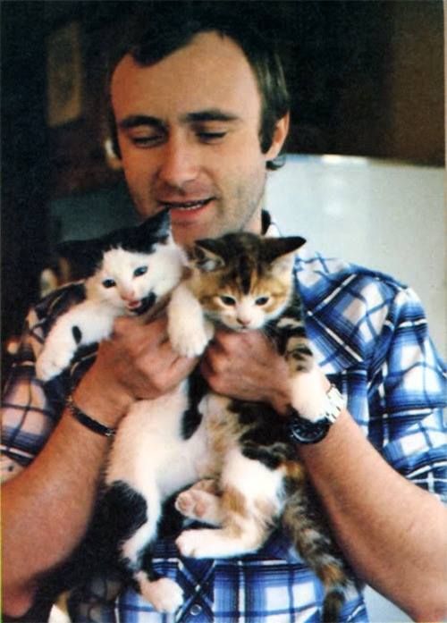 https://i.postimg.cc/bNdGkN8k/A-young-Phil-Collins-with-kittens.jpg