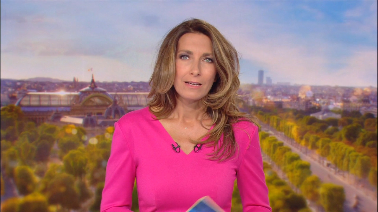 2020-08-30_13_00_TF1_Le-13h.mp4_snapshot_00.05.10.213
