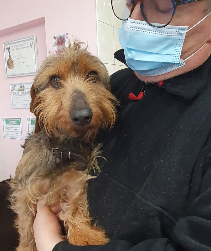 [Image: 20210108-160916.jpg]