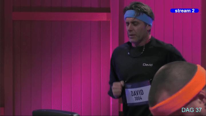 davids.gif
