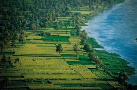 Pharaoh making offerings to the Nile