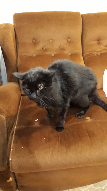 5628D2F5-F545-4DB2-97B6-B9172F419698