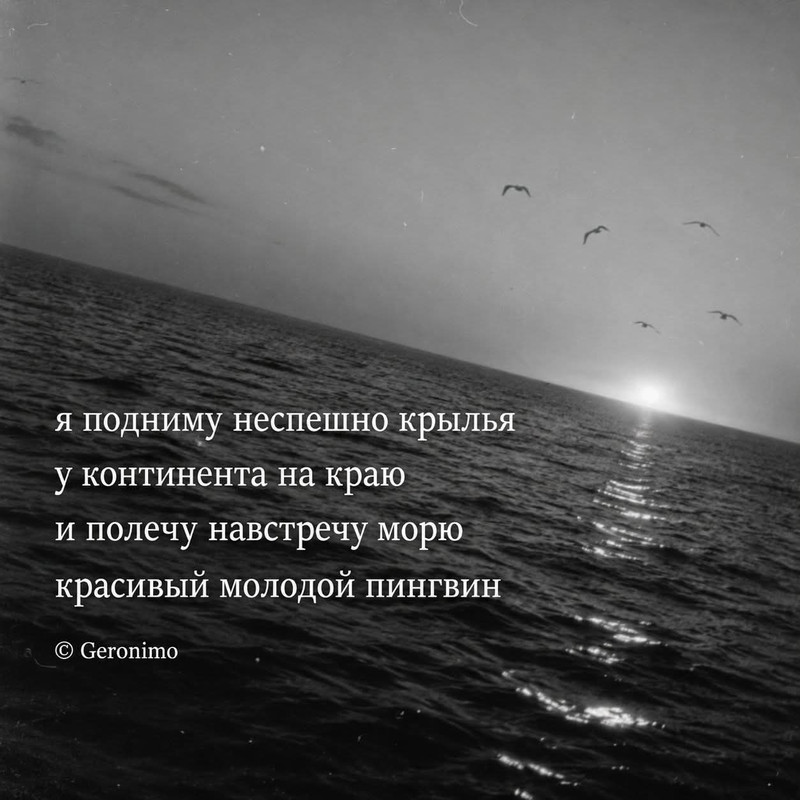 FB IMG 1784609546287