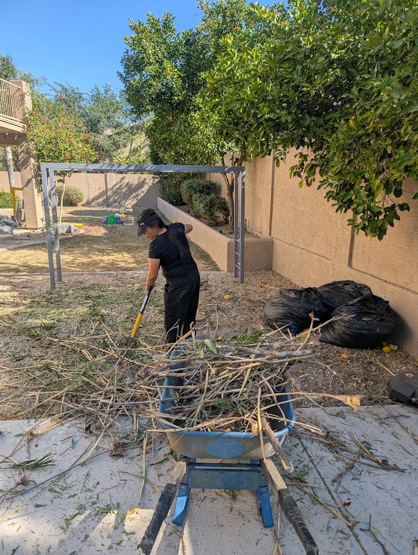 Yard debris removal and debris hauling