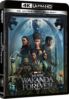 Black Panther - Wakanda Forever (2022) .mkv Blu-ray 2160p UHD HDR10 AC3 5.1 x265 iTA ENG