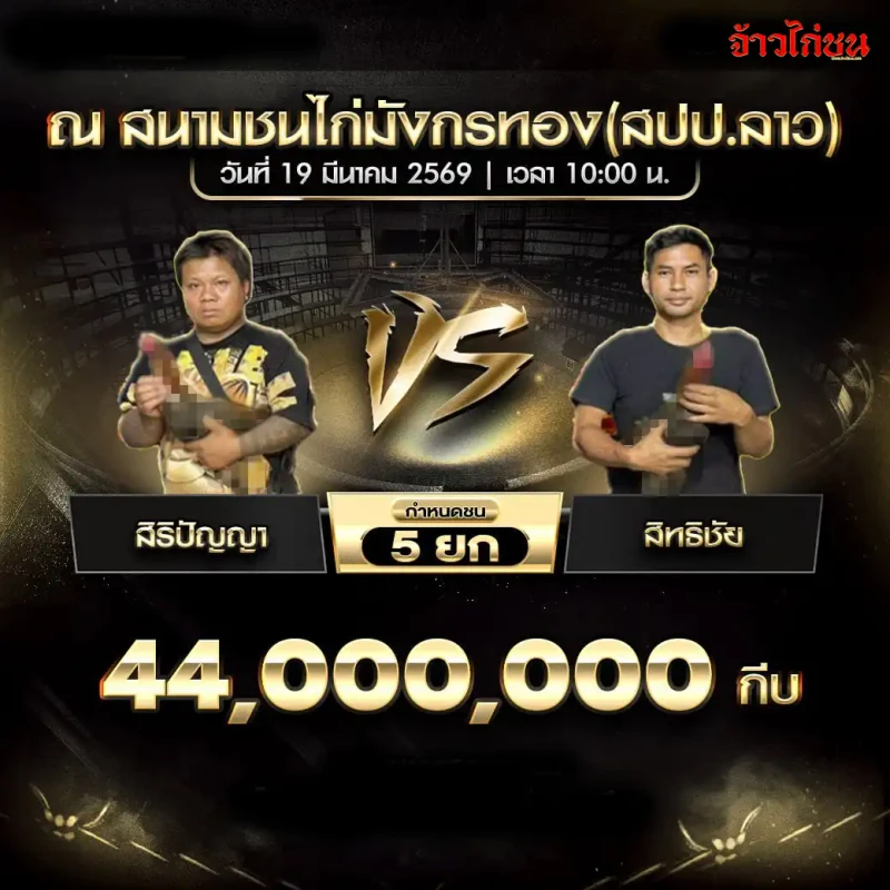 โปรแกรมไก่ชน คู่สิริปัญญา vs สิทธิชัย สนามชนไก่มังกรทอง