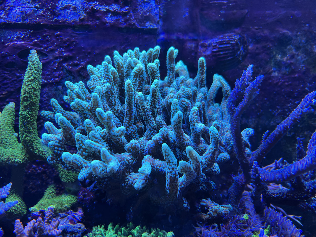 C114DA0C-3811-446A-BB39-4CB47D2A9D35