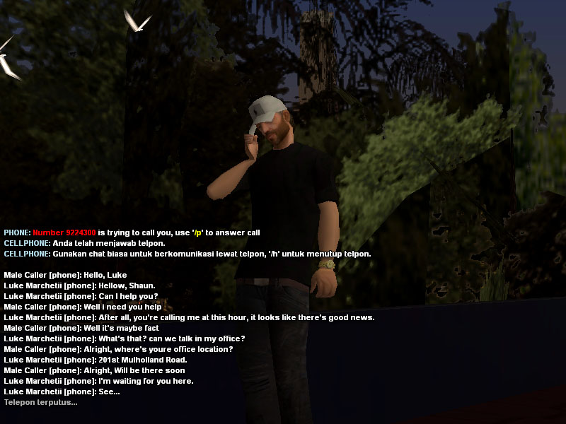 rp1.jpg