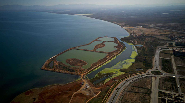 579623949-869168978973217-6335434427688896366-n