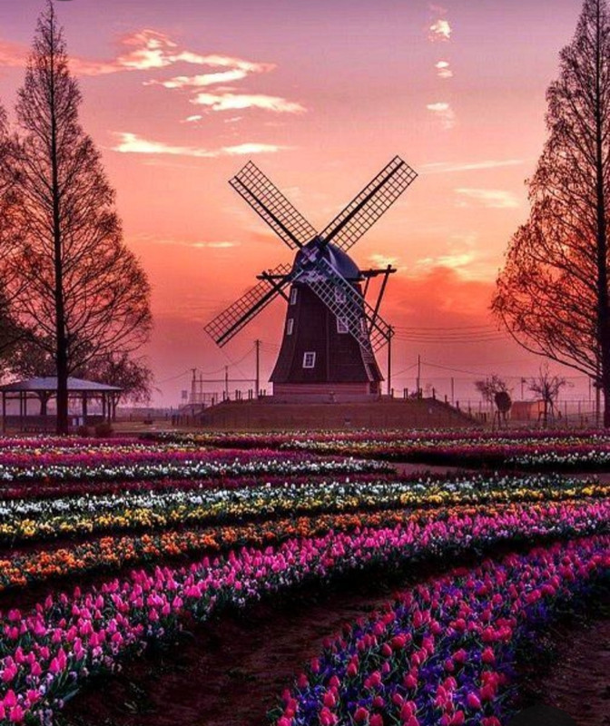 Screenshot_20230322_000429_Pinterest