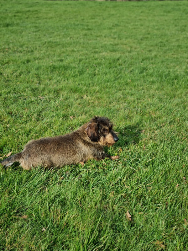 [Image: IMG-20230209-WA0008.jpg]