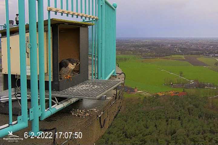 campics vanaf 30 januari © VWGGemert en bonusjes van ter plekke - Pagina 5 Cam-2-1