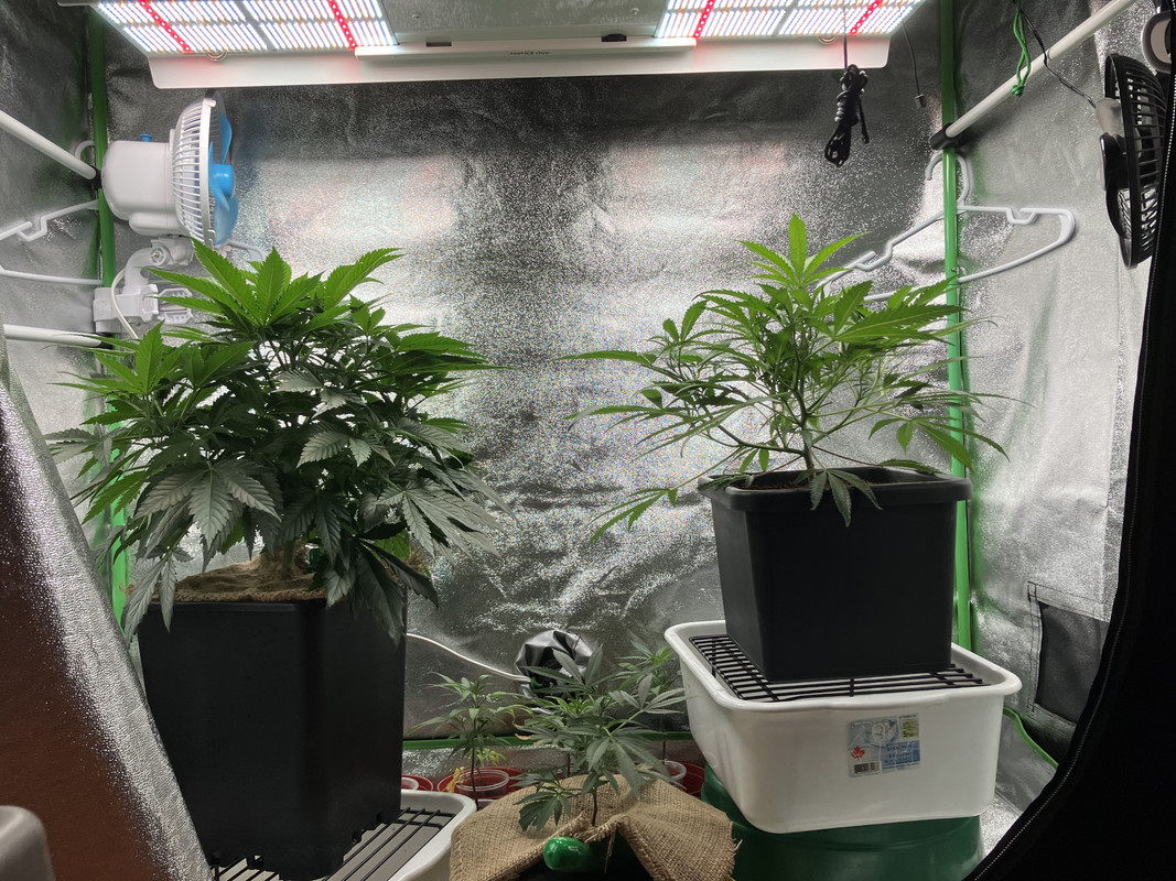 CA2E4718-4B2F-4694-8480-EB88642B1507