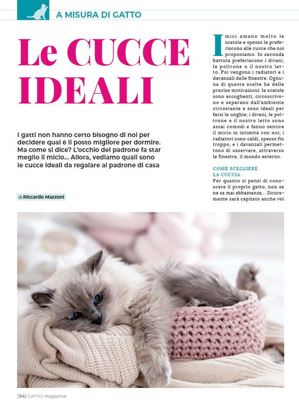 Ga Ma Dic 2022-Gen 2023 (5)