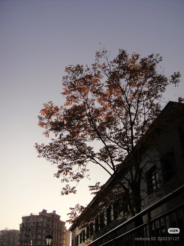 photo 3 2025 12 14 22 29 25