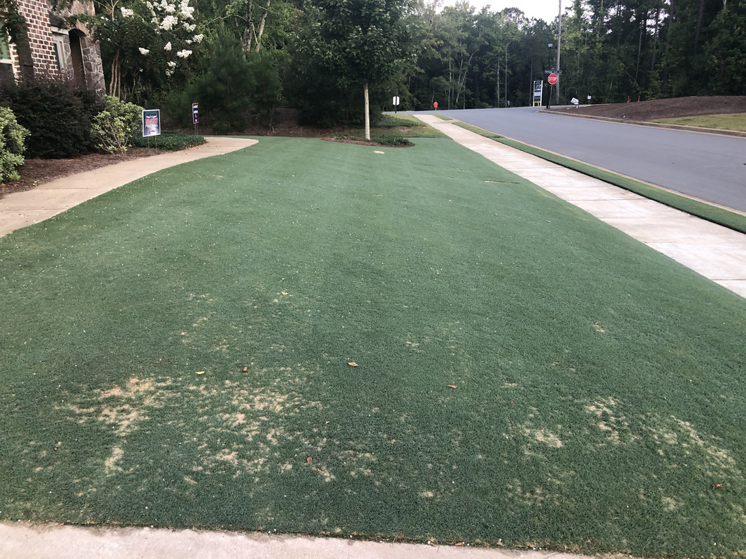 A212917A-1E9F-4B36-AC9A-99B0E14DEBC3