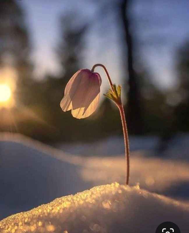 Screenshot_20230326_222827_Pinterest