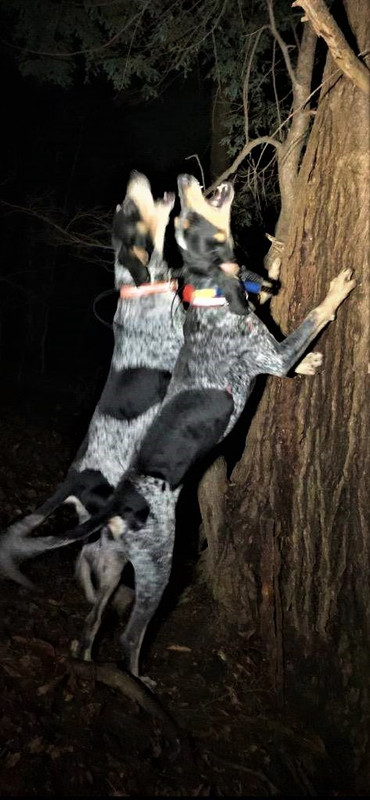 Resized_IMG_4025 (1)