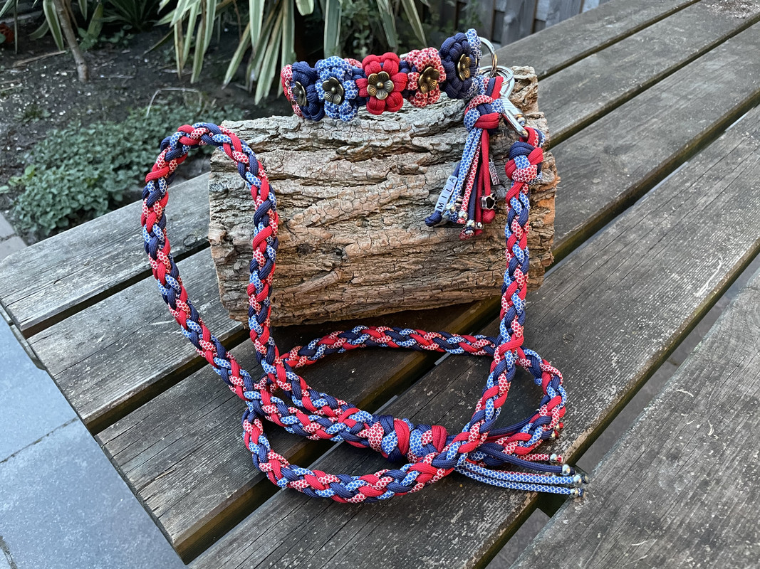 610A6FFA-8C99-45C3-A34E-DE0704313956